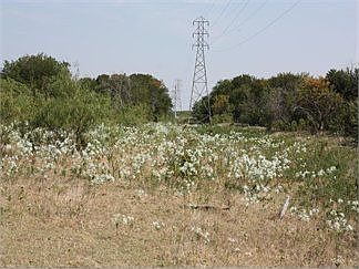 5th image of 17930 N Ih 35