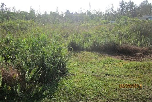 4th image of Sandalwood Ct Lot 9
