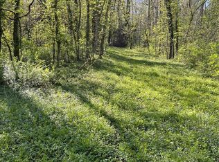 100 Jabin Farm Rd, Wright City, MO 63390