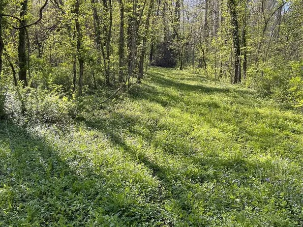 100 Jabin Farm Rd, Wright City, MO 63390