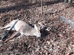 Donahue Rd, Princeton, KY 42445