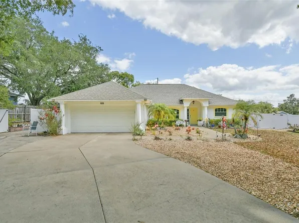 202 N Palm Ave, Howey In The Hills, FL 34737