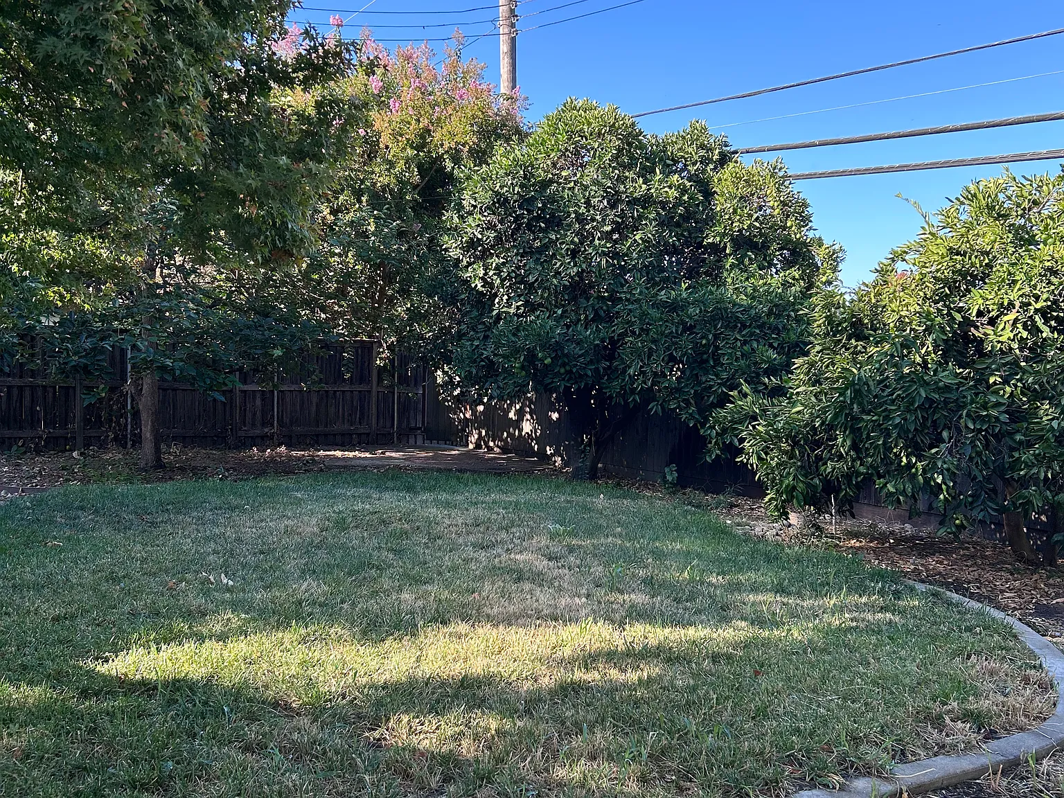 3 bed, 1.5 bath, 1344 sqft, $2,900 — Photo 2