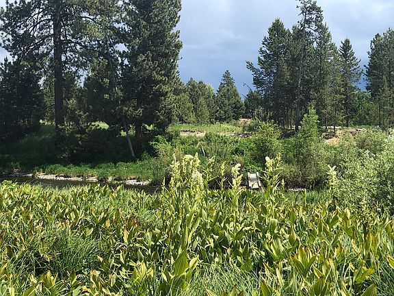 Beautiful lush meadows