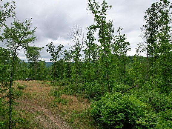 3rd image of 22 Buck Run Ridge Rd