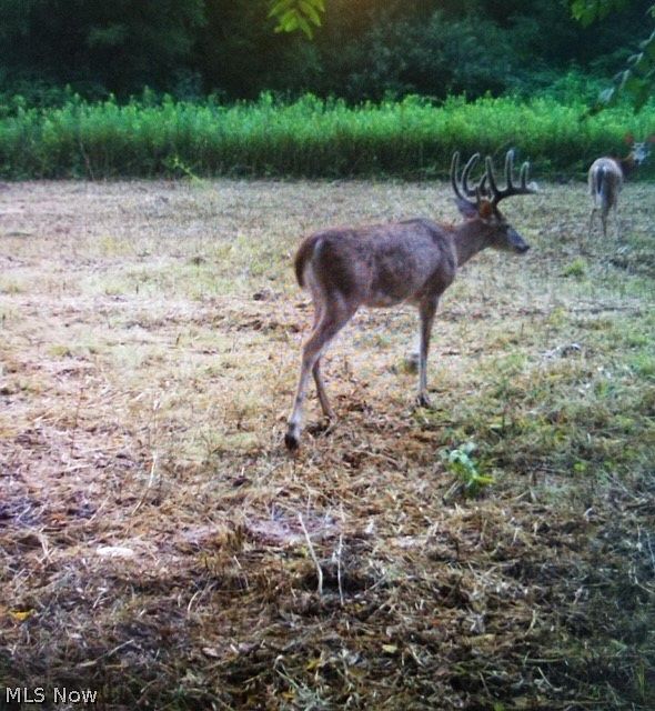 2nd image of Newlon Rd