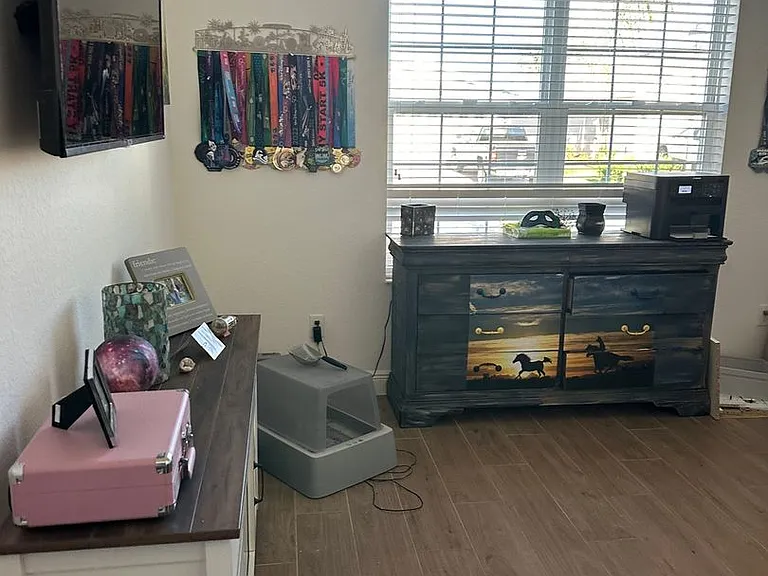 10339 Addison Shore Way — Photo 3