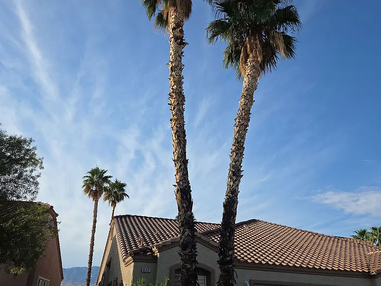 622 Southridge Dr — Photo 5