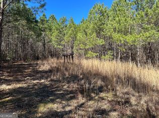 Roosevelt Hwy, Warm Springs, GA 31830