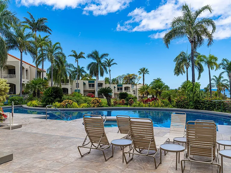Wailea Alanui Dr — Photo 32