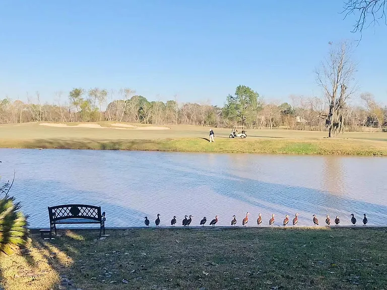Like resorts with wildlife relax you after work every day