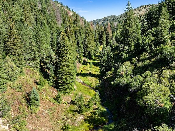 4th image of County Road 249 #1