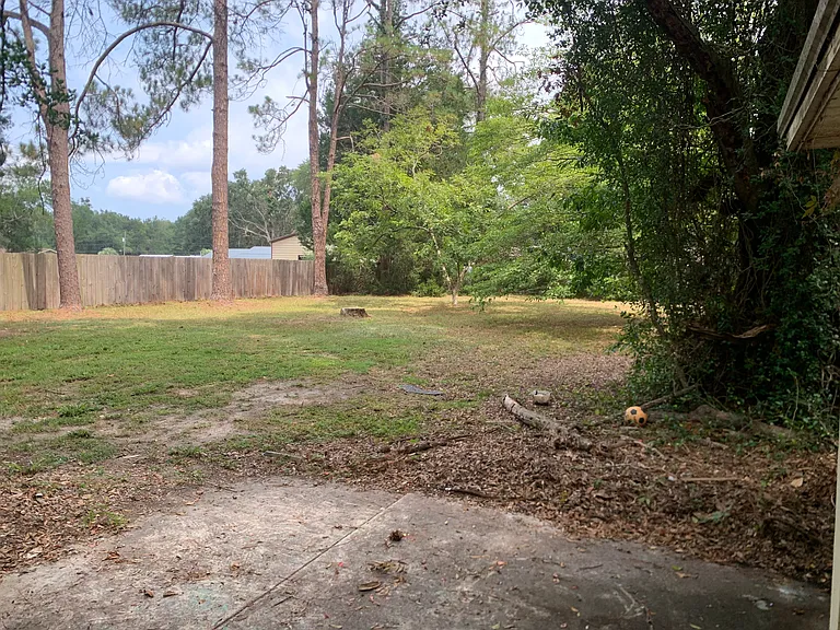 Backyard (Viewed from Back Door)