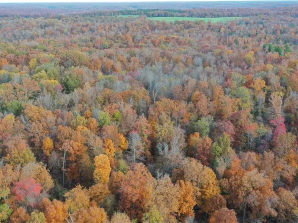 TRACT 5 Bobwhite Ln, Fairdealing, MO 63939