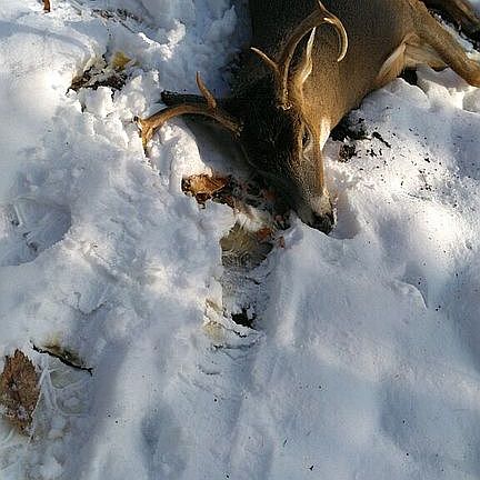 2019 Opening-Friends 7