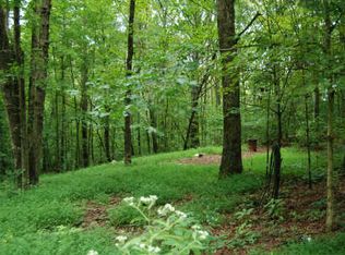 0 Roberts Ridge Ln, Ellijay, GA 30540