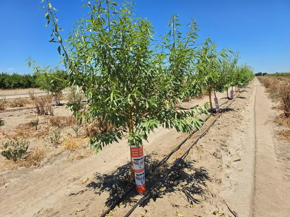 14125 Avenue 18 1/2, Chowchilla, CA 93610