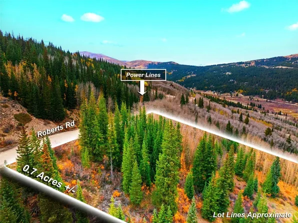 0 Roberts Rd, Alma, CO 80420