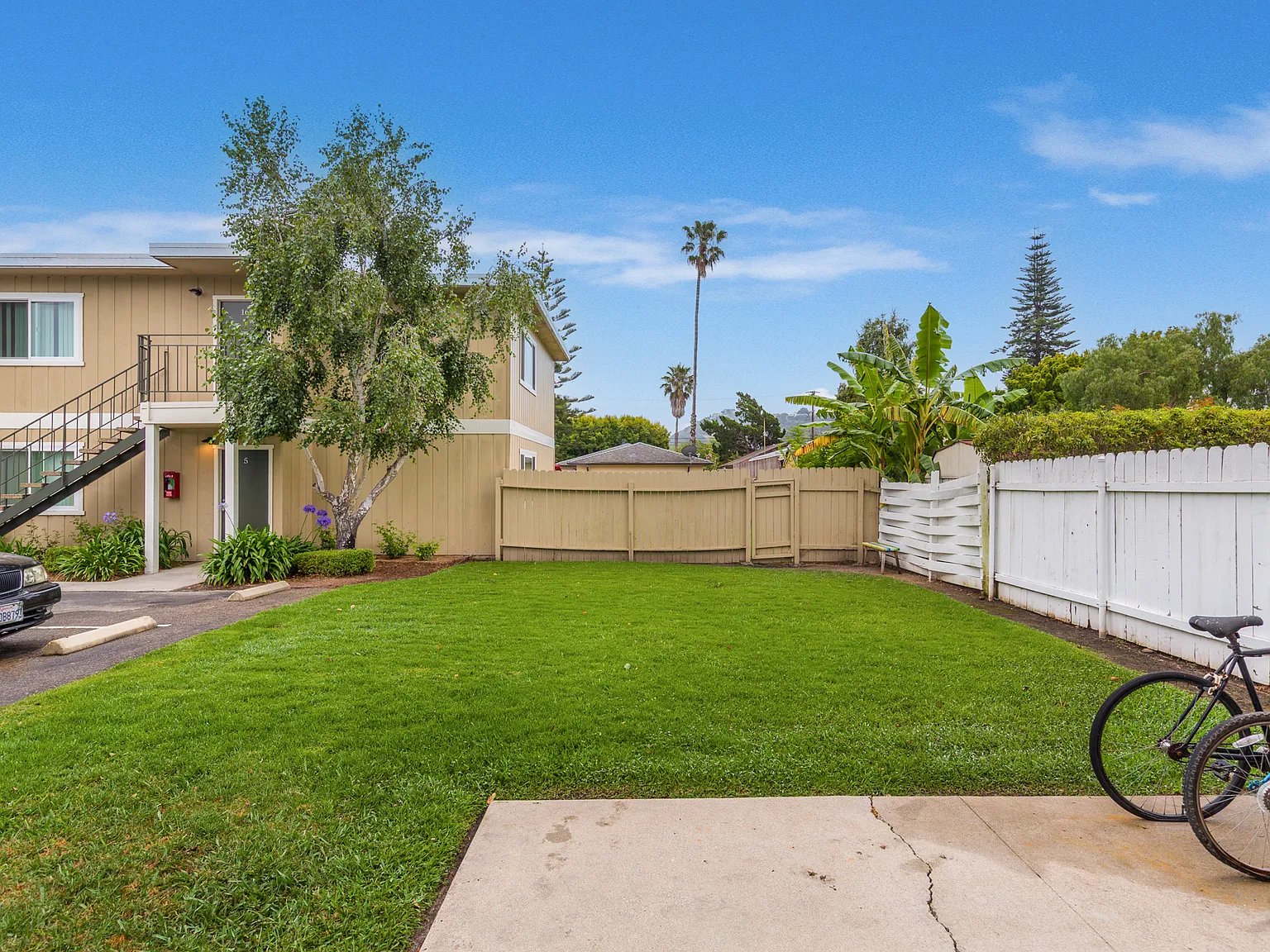 Ivy Arrellaga Apartments — Photo 4