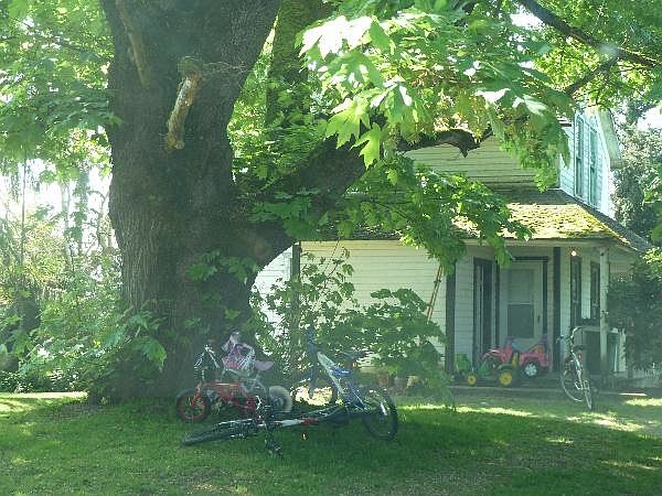 2nd image of 7444 Noon Rd