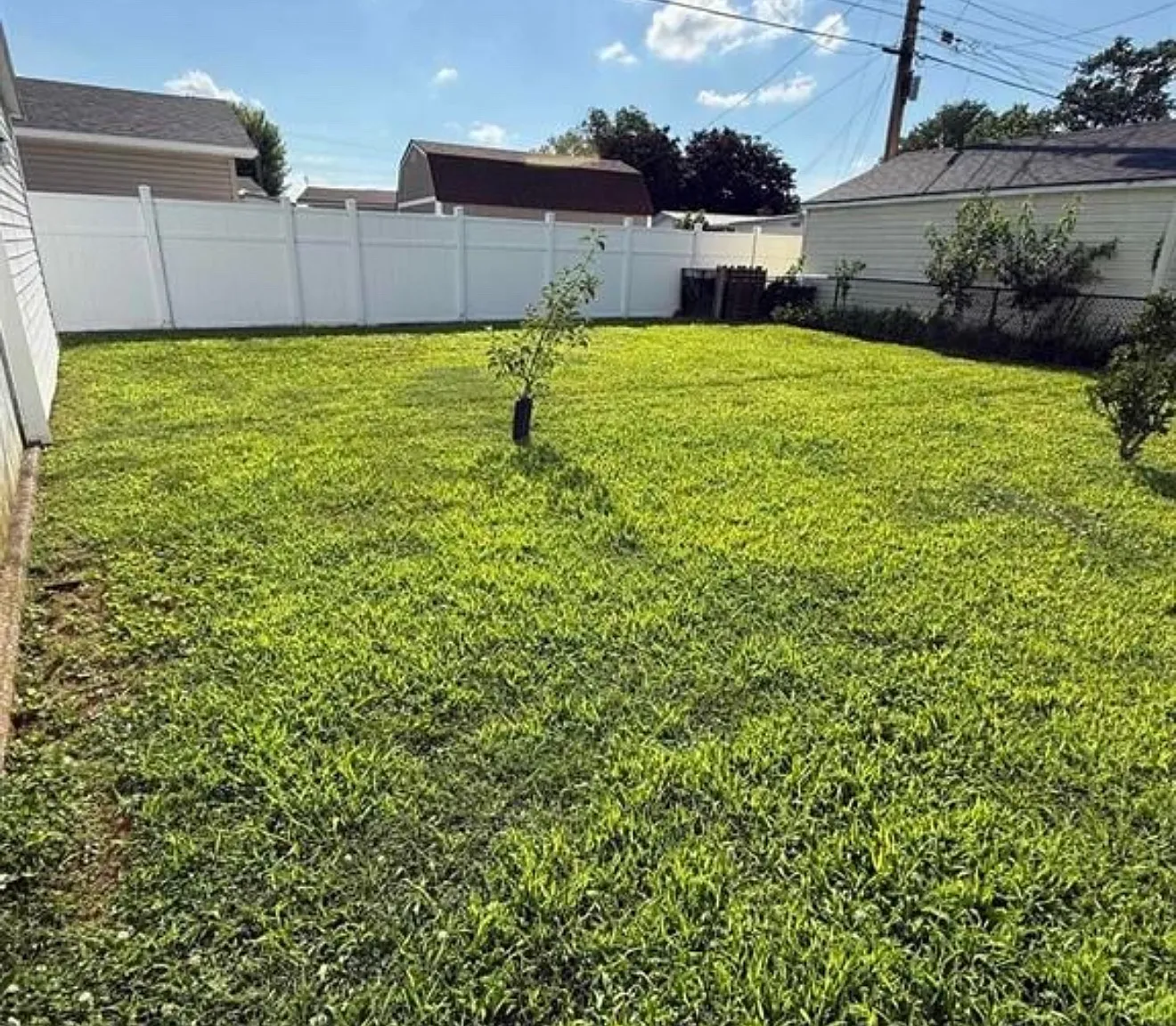 3 bed, 800 sqft, $1,300 — Photo 4