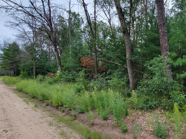S Grove St, Baldwin, MI 49304