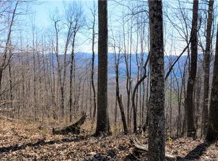 0 Pinnacle Mountain Rd #2, Zirconia, NC 28790