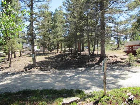 251 Pullman Loop, Hartsel, CO 80449