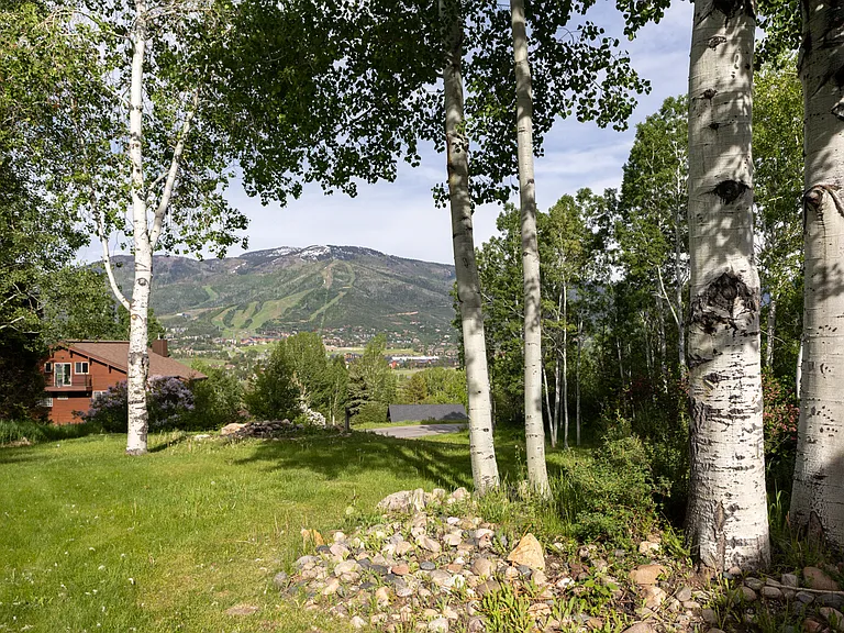 36846 Tree Haus Dr — Photo 54