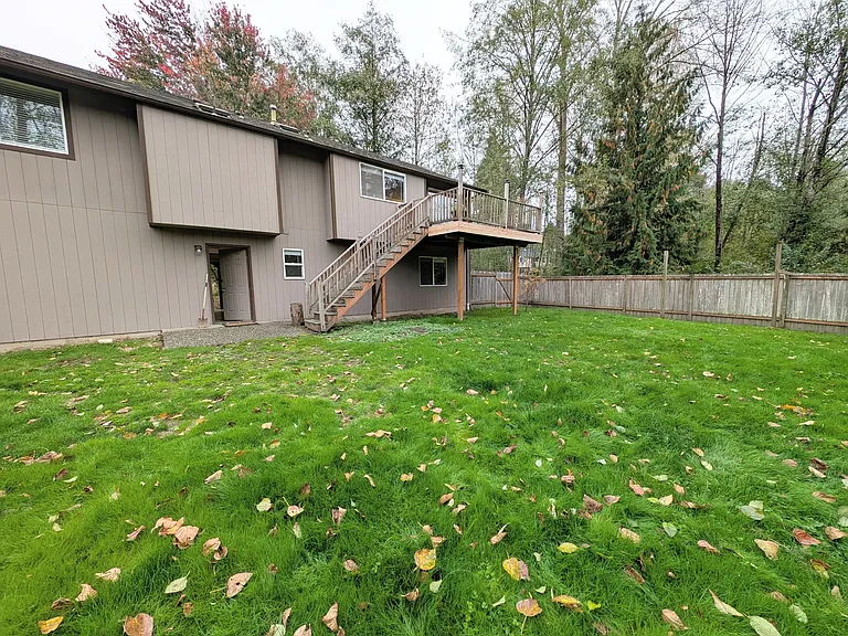 Backyard (1)