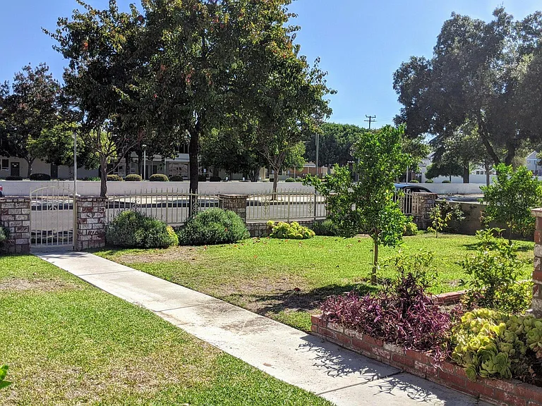 Front Yard
