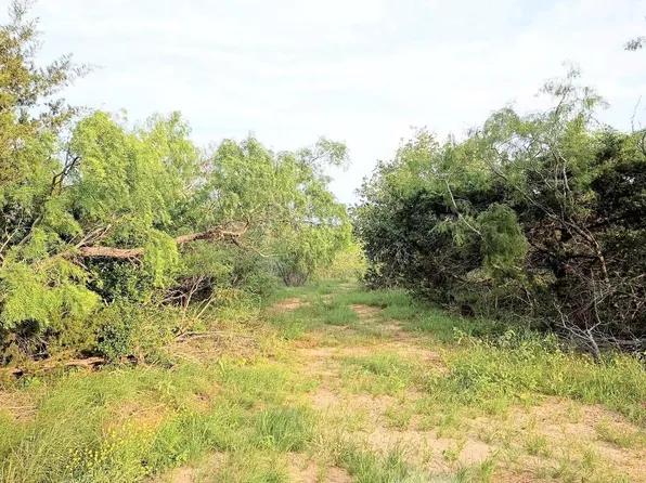Mesquite Cv, Cedar Creek, TX 78612