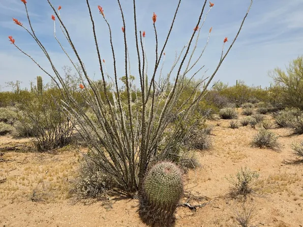 30407004H E Holt Ln, Marana, AZ 85658