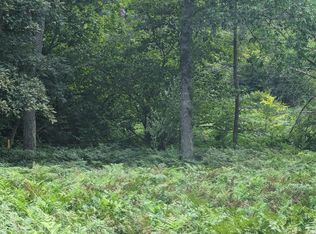 E Wetland Trl #293, Custer, MI 49405