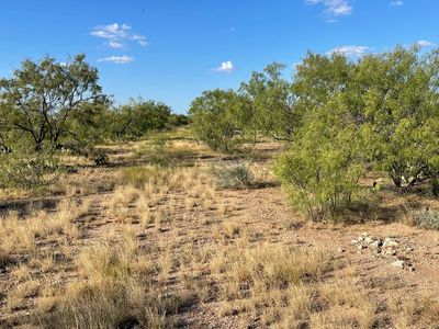 14124 Fm 765, San Angelo, TX, 76905