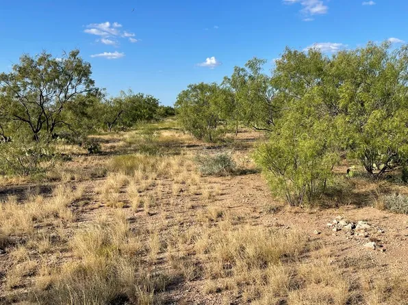 14124 Fm 765, San Angelo, TX 76905