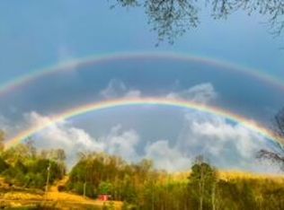 465 Anderson Cemetery Rd, Livingston, KY 40445