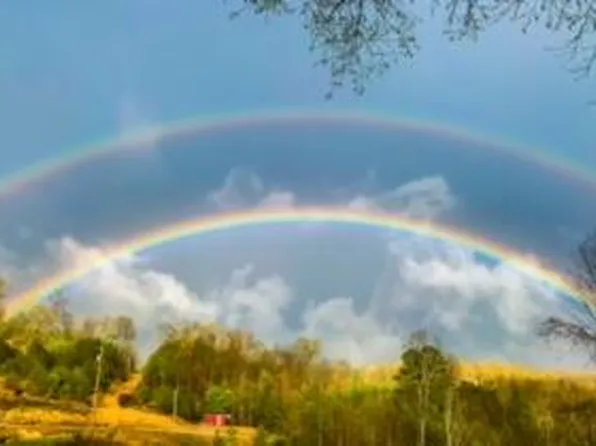 465 Anderson Cemetery Rd, Livingston, KY 40445