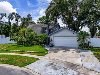 7111 Lawnview Ct, Tampa, FL, 33615