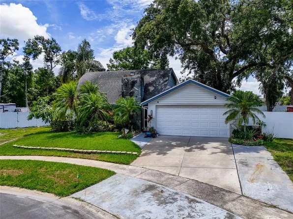 7111 Lawnview Ct, Tampa, FL 33615