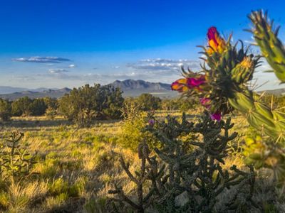 90 Vista La Madera, Sandia Park, NM, 87047