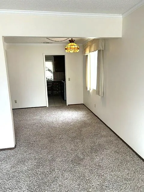 2428 El Rancho Cir — Photo 3