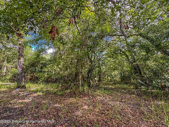 3rd image of 0 Old Hunter Rd