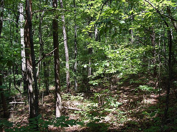 4th image of 391 Elk Dr