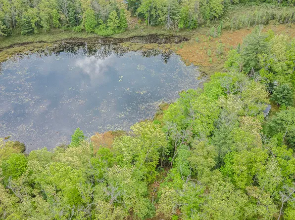 Vl S Tacoma St, Idlewild, MI 49642