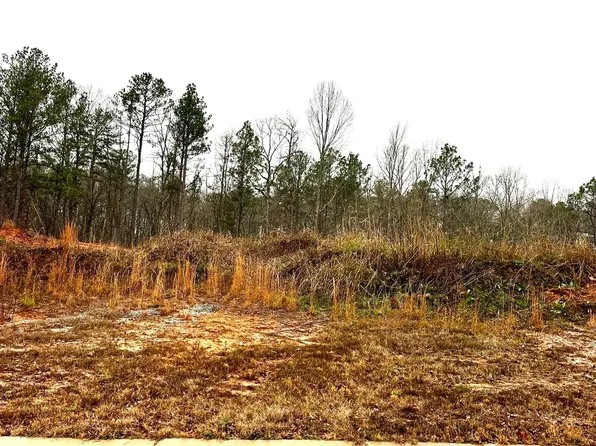 219 Olivia Ln #10, Woodstock, AL 35188