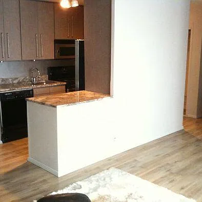 3950 N Lake Shore Dr #2321 — Photo 8