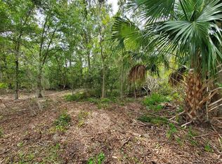 Holy Cow Rd LOT 3, Polk City, FL 33868