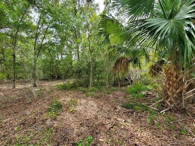 HOLY COW ROAD LOT 3, Polk City, FL, 33868