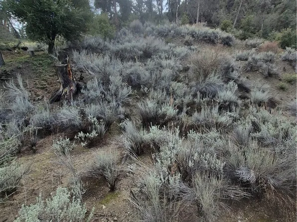 15532 San Moritz Dr, Frazier Park, CA 93222